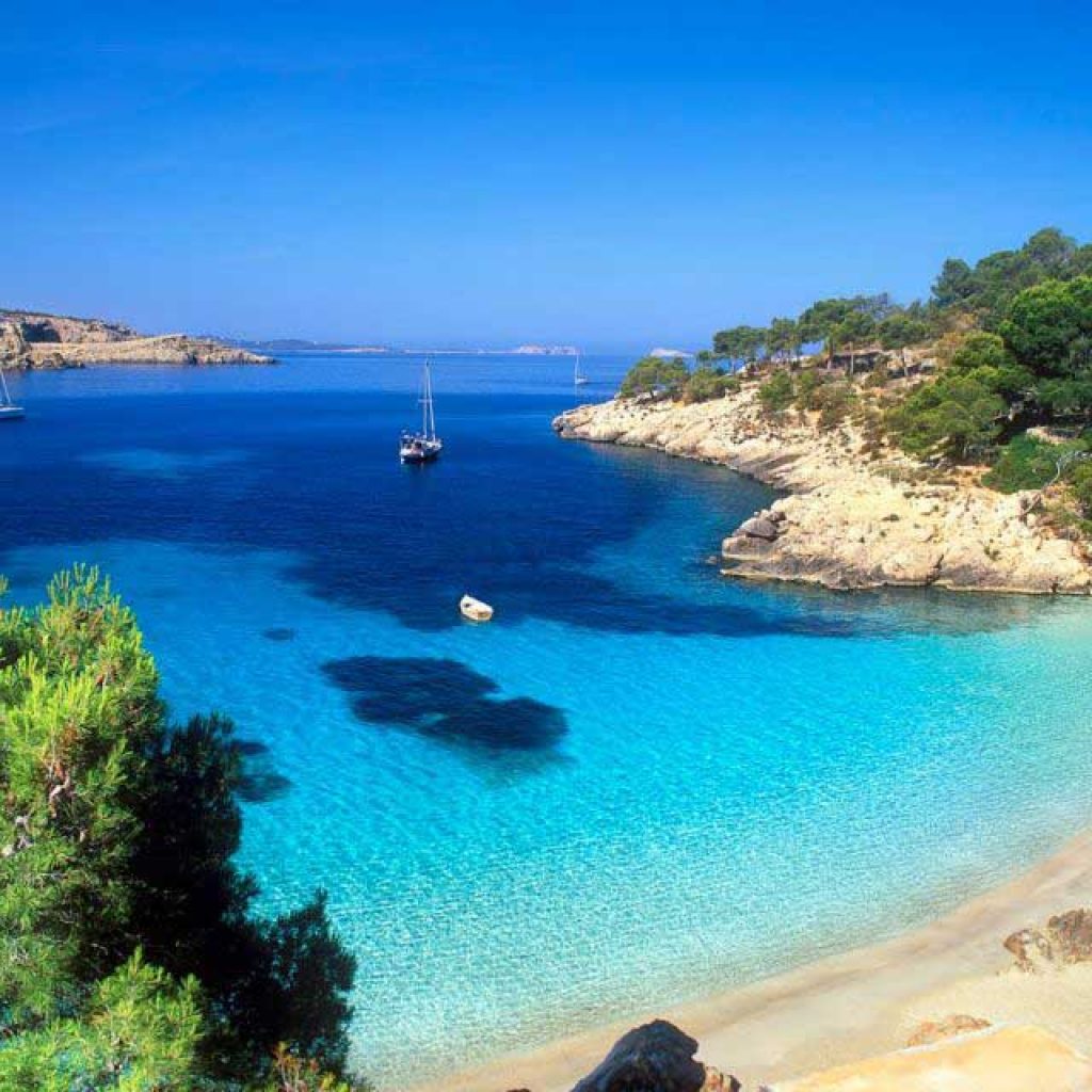 Background Contact Info