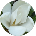 G Gunhan profile picture